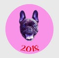 Funny poster. French bulldog in the sphere and with the number 2018. Dog is symbol of Chinese New Year. Royalty Free Stock Photo