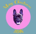 Funny poster. French bulldog in the sphere and with the number 2018. Dog is symbol of Chinese New Year. Royalty Free Stock Photo