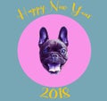 Funny poster. French bulldog in the sphere and with the number 2018. Dog is symbol of Chinese New Year. Royalty Free Stock Photo