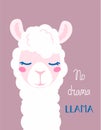Funny poster llama alpaca with the inscription No drama llama. Vector illustration of a furry beast a unique design for Royalty Free Stock Photo