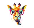 Funny poster. Portrait of a Giraffe. Vector illustration design