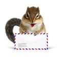Funny postman chipmunk with air mail letter Royalty Free Stock Photo