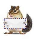 Funny postman squirrel hold mail letter isolated on white Royalty Free Stock Photo