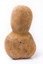 Funny potato