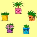 Funny pots with plants