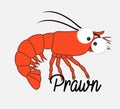 Funny Prawn Fish