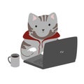 Funny programmer cat in red hoodie working at a laptop with a cup of coffee. IT engineer symbol, programmer sticker for