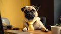 Funny pug dog in a business suit and necktie sitting at the table.