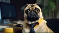 Funny pug dog in a business suit and necktie sitting at the table.