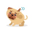 Funny pug dog character scratching an itch vector Illustration