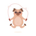 Funny Pug Dog Character with Wrinkly Face Jumping Rope Vector Illustration