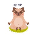 Funny Pug Dog Character with Wrinkly Face Meditating in Lotus Pose Vector Illustration Royalty Free Stock Photo