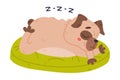 Funny Pug Dog Character with Wrinkly Face Sleeping on Green Cushion Vector Illustration Royalty Free Stock Photo
