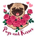 Funny pug puppy dog holding a bunch of pink roses, with hearts and text