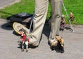 Funny puppets, puppet show on the street