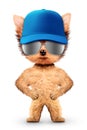 Funny puppy in baseball hat and sunglasses