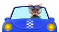 Funny puppy in the cabriolet with aviator goggles