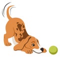 Funny puppy playing with ball. Cartoon beagle dog