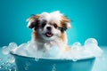 Funny puppy sitting in bathtub waiting for grooming. Banner for pet shop, grooming salon. Generative AI