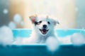 Funny puppy sitting in bathtub waiting for grooming. Banner for pet shop, grooming salon. Generative AI