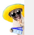 Funny puppy with sunglasses holding airline tickets and ice cream. isolated on white background