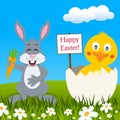 Funny Rabbit & Chick Wishing Happy Easter Royalty Free Stock Photo