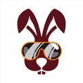 Funny rabbit glasses icon logo Royalty Free Stock Photo