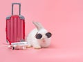 Funny rabbit wearing sunglasses and the red luggage, airplane going on vacation.