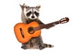 Funny raccoon with acoustic guitar, showing a rock gesture