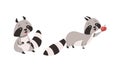 Funny Raccoon Animal Character with Striped Tail Sitting and Holding Apple Vector Set Royalty Free Stock Photo