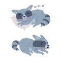 Funny Raccoon Animal Character with Striped Tail Sneaking and Sleeping Vector Set