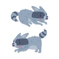 Funny Raccoon Animal Character with Striped Tail Sneaking Vector Set