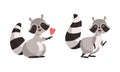 Funny Raccoon Animal Character with Striped Tail Tiptoeing and Holding Heart Vector Set Royalty Free Stock Photo