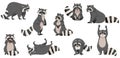 Funny Raccoon with Dexterous Front Paws and Ringed Tail Vector Set