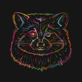 Funny Racoon Face. Colorful Art Isolated on black
