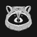 Funny Racoon Face Isolated on black.
