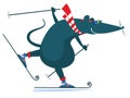 Cartoon rat or mouse a skier illustration