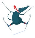 Cartoon rat or mouse a skier illustration