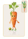 Funny and realistic carrot playing football