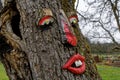 Funny red face on tree bark