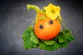 Funny red kuri squash with googly eyes