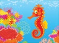 Seahorse and corals Royalty Free Stock Photo