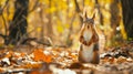 Funny red squirrel standing in the forest like Master of the Universe. AI Generative Royalty Free Stock Photo