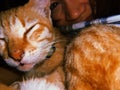 Funny red white cat sleeping with happy female person in dark room. Orange kitty lying near human. Film grain texture Royalty Free Stock Photo