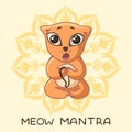 A funny red yogi kitten sits in a lotus pose and sings a mantra with an inscription and a mandala.