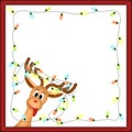 Funny reindeer with christmas lights in red frame