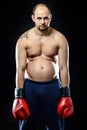 Funny resigned fat boxer