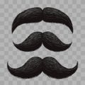 Funny retro hair mustaches