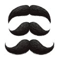 Funny retro hair mustaches vector set