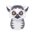 Funny Ring-tailed Lemur Portrait on White